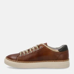 EXTON SNEAKERS | Uomo Sneakers