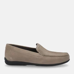GEOX ASCANIO | Uomo Mocassini