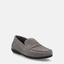 GEOX ASCANIO | Uomo Mocassini