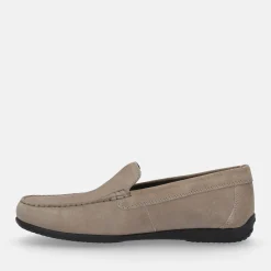 GEOX ASCANIO | Uomo Mocassini