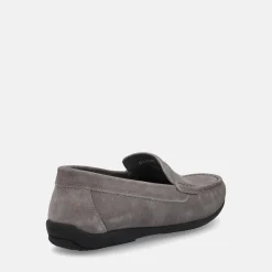 GEOX ASCANIO | Uomo Mocassini