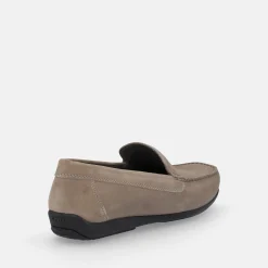 GEOX ASCANIO | Uomo Mocassini