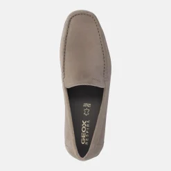 GEOX ASCANIO | Uomo Mocassini