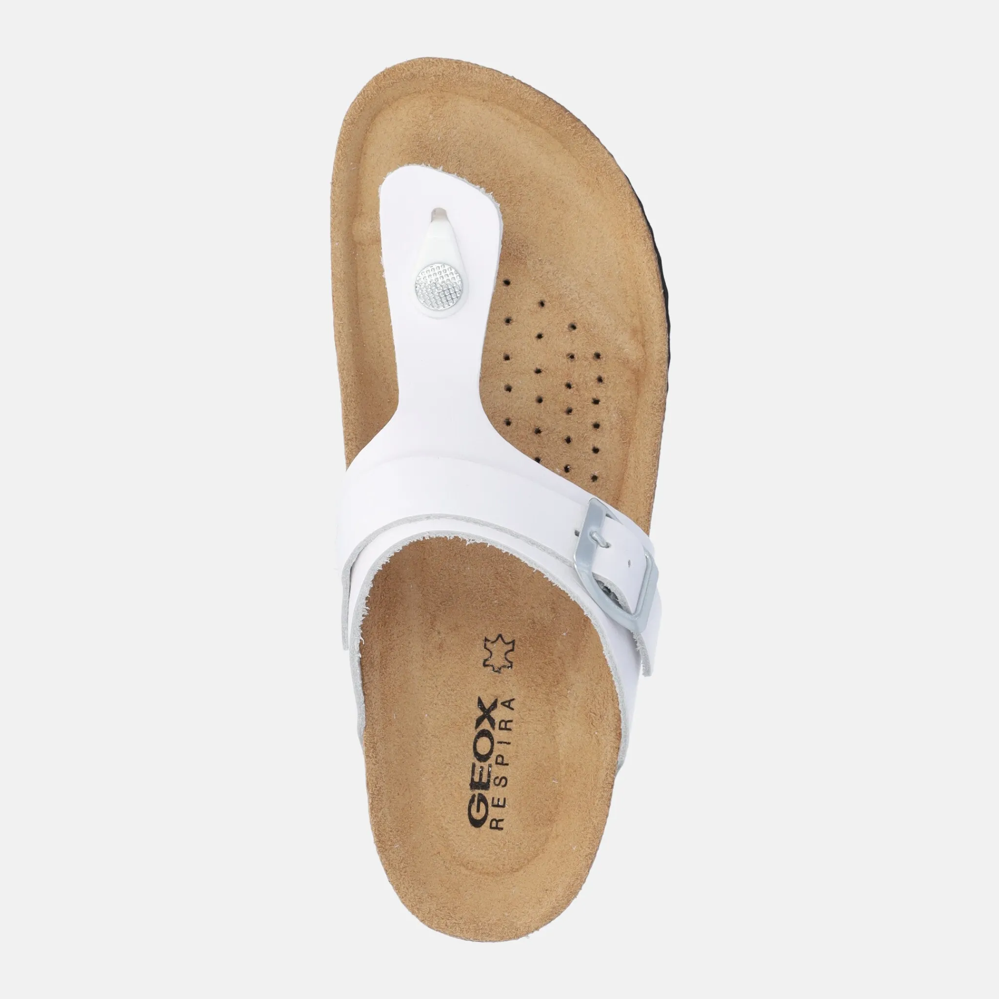 GEOX BRIONIA | Donna Ciabatte