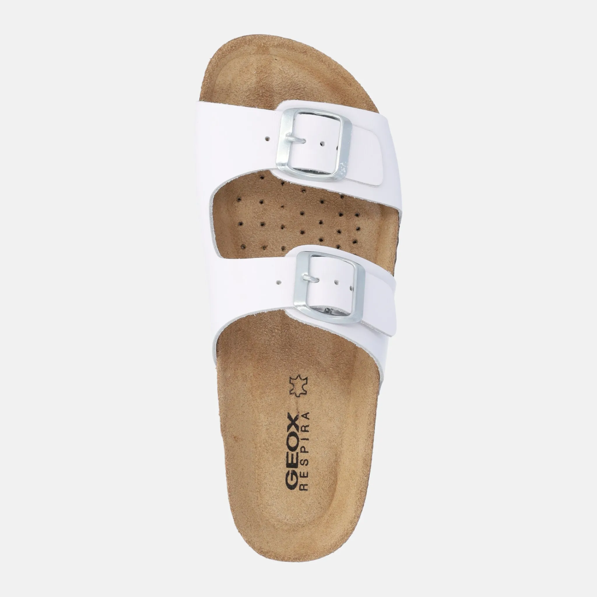 GEOX BRIONIA | Donna Ciabatte