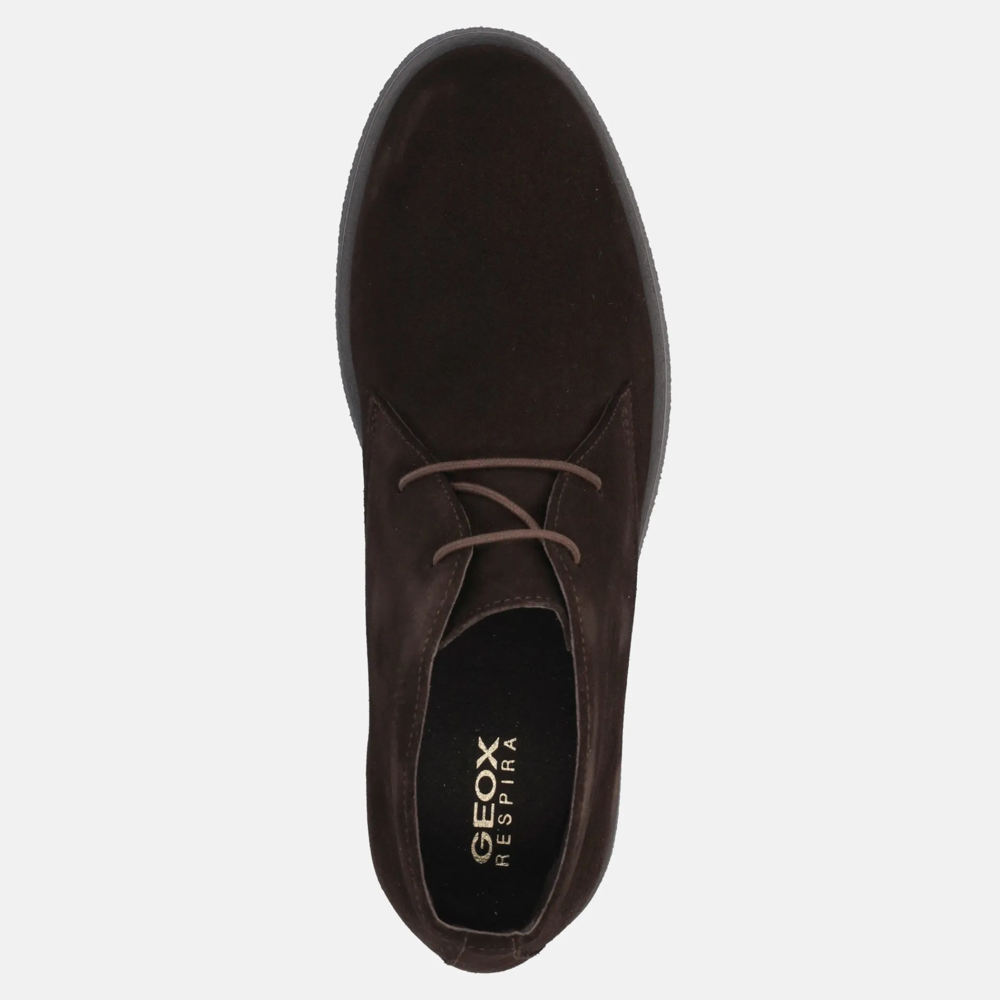 GEOX CLAUDIO | Uomo Polacco E Beatles