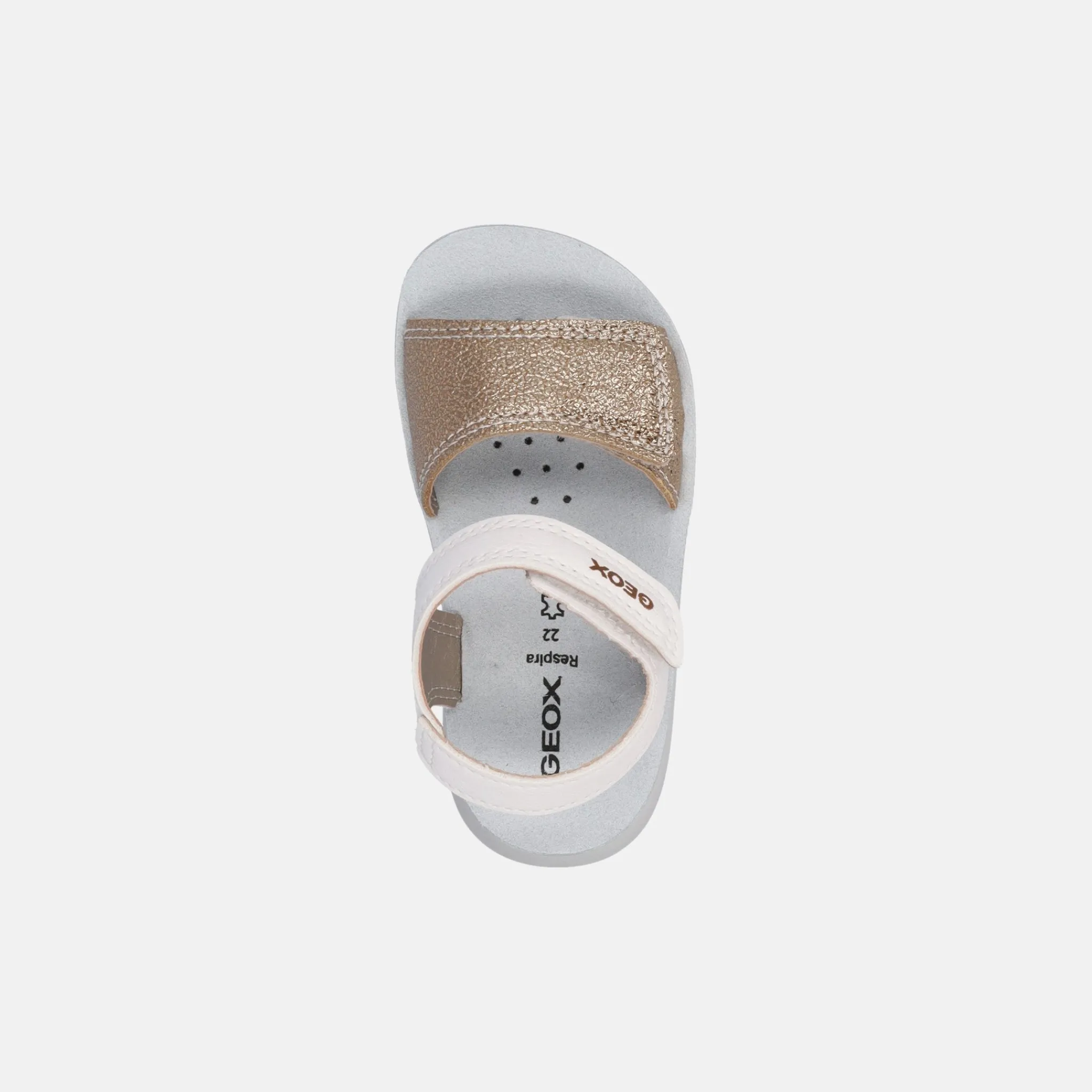 GEOX LIGHTFLOPPY | Sandali