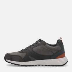 GEOX MOLVENO | Uomo Sneakers