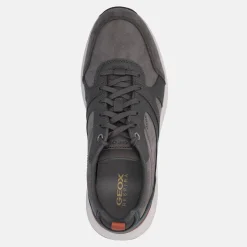 GEOX MOLVENO | Uomo Sneakers