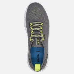 GEOX SPHERICA | Uomo Sneakers