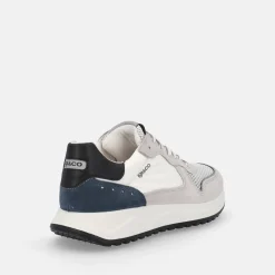 IGI E CO SARONNO | Uomo Sneakers