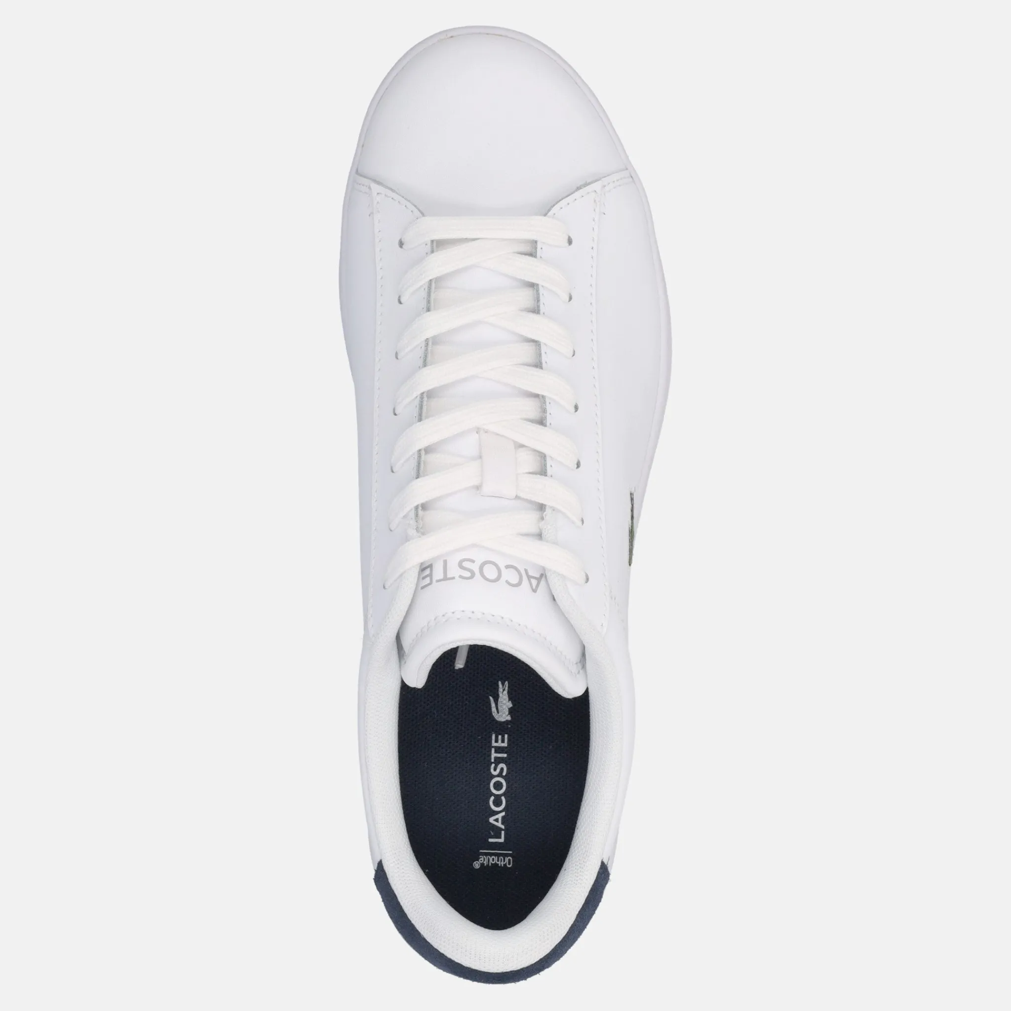 LACOSTE CARNABY | Uomo Sneakers