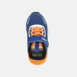 PRIMIGI B&G RUNNER | Sneakers