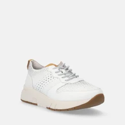 STONEFLY Scarpe uomo | Uomo Sneakers