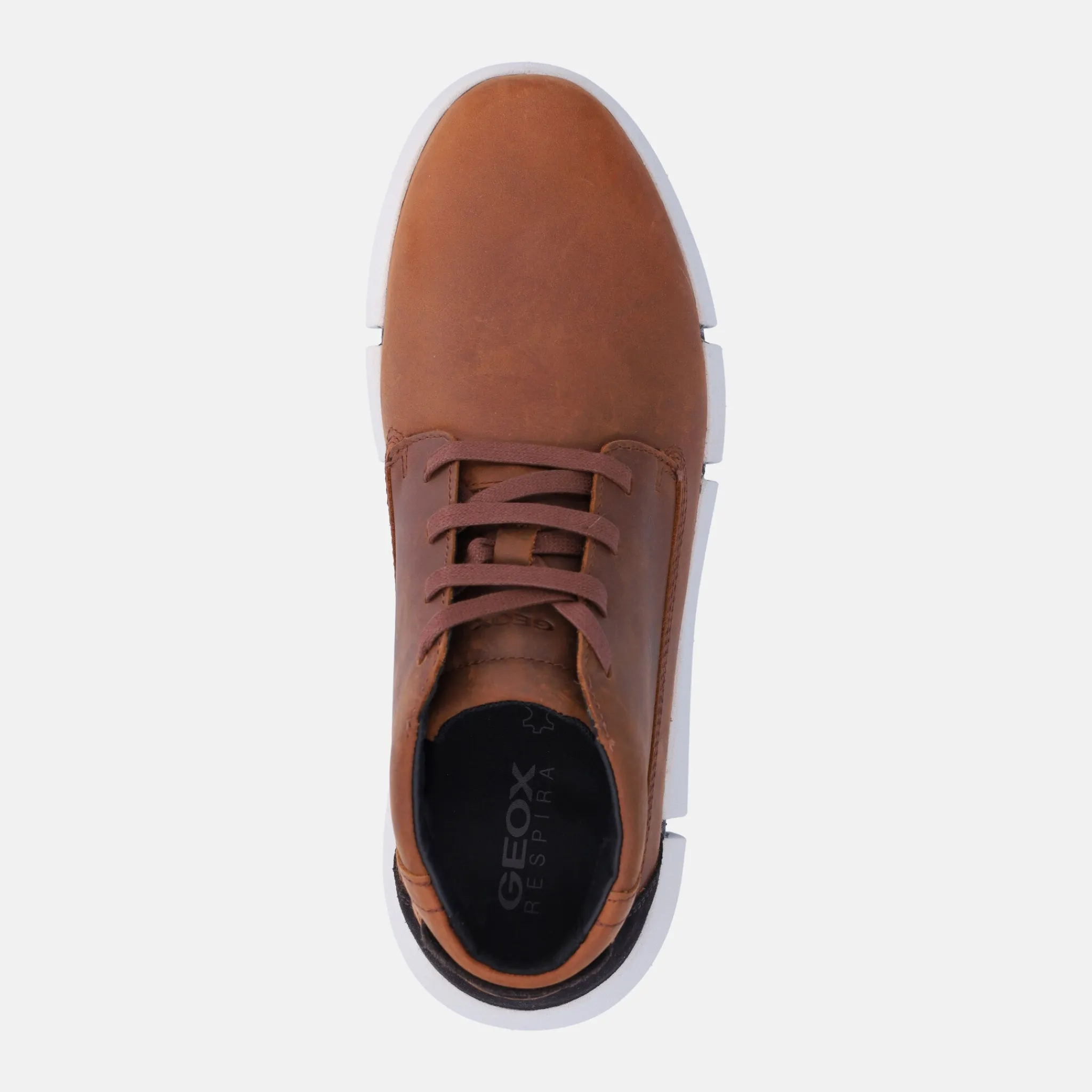 GEOX Sneakers alta uomo | Uomo Sneakers