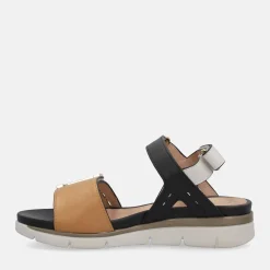 STONEFLY ELODY 24 | Donna Sandali