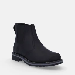 TIMBERLAND LARCHMONT II CHELSEA | Uomo Polacco E Beatles
