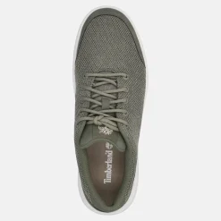 TIMBERLAND MAPLE GROVE | Uomo Sneakers