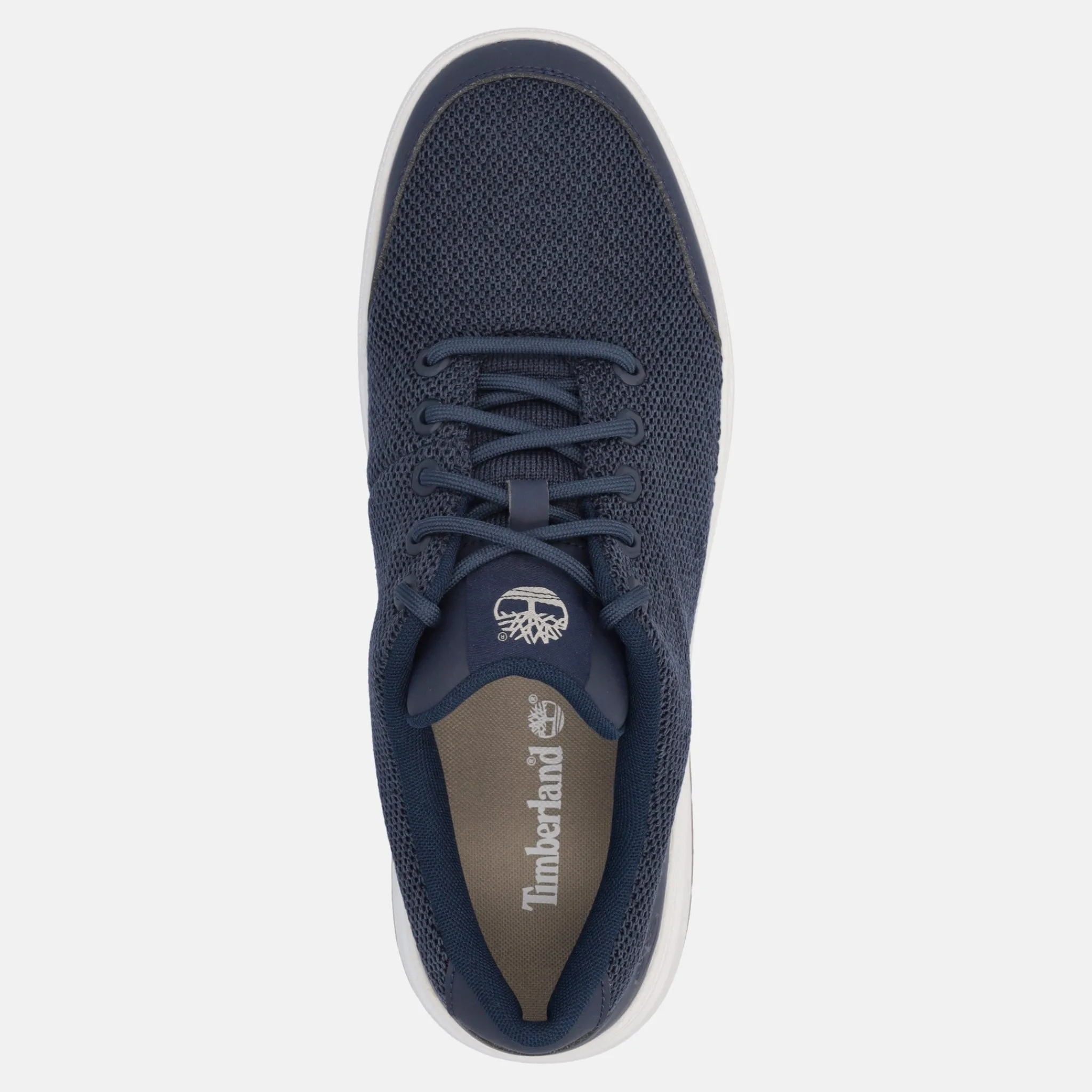 TIMBERLAND MAPLE GROVE | Uomo Sneakers