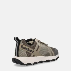 TIMBERLAND WINSOR TRAIL | Uomo Sneakers