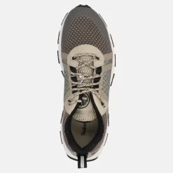 TIMBERLAND WINSOR TRAIL | Uomo Sneakers